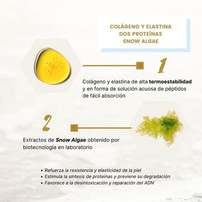 GERMINAL Ampollas Colágeno y Elastina Sérum Antiedad 30 Ampollas-4