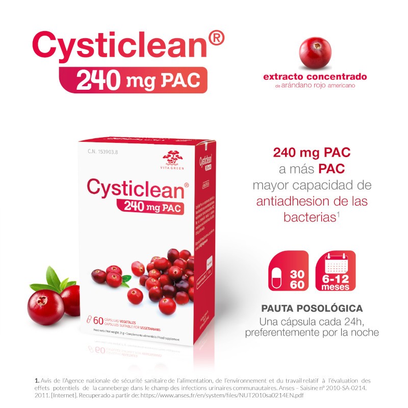CYSTICLEAN 240mg PAC 30 Cápsulas-2