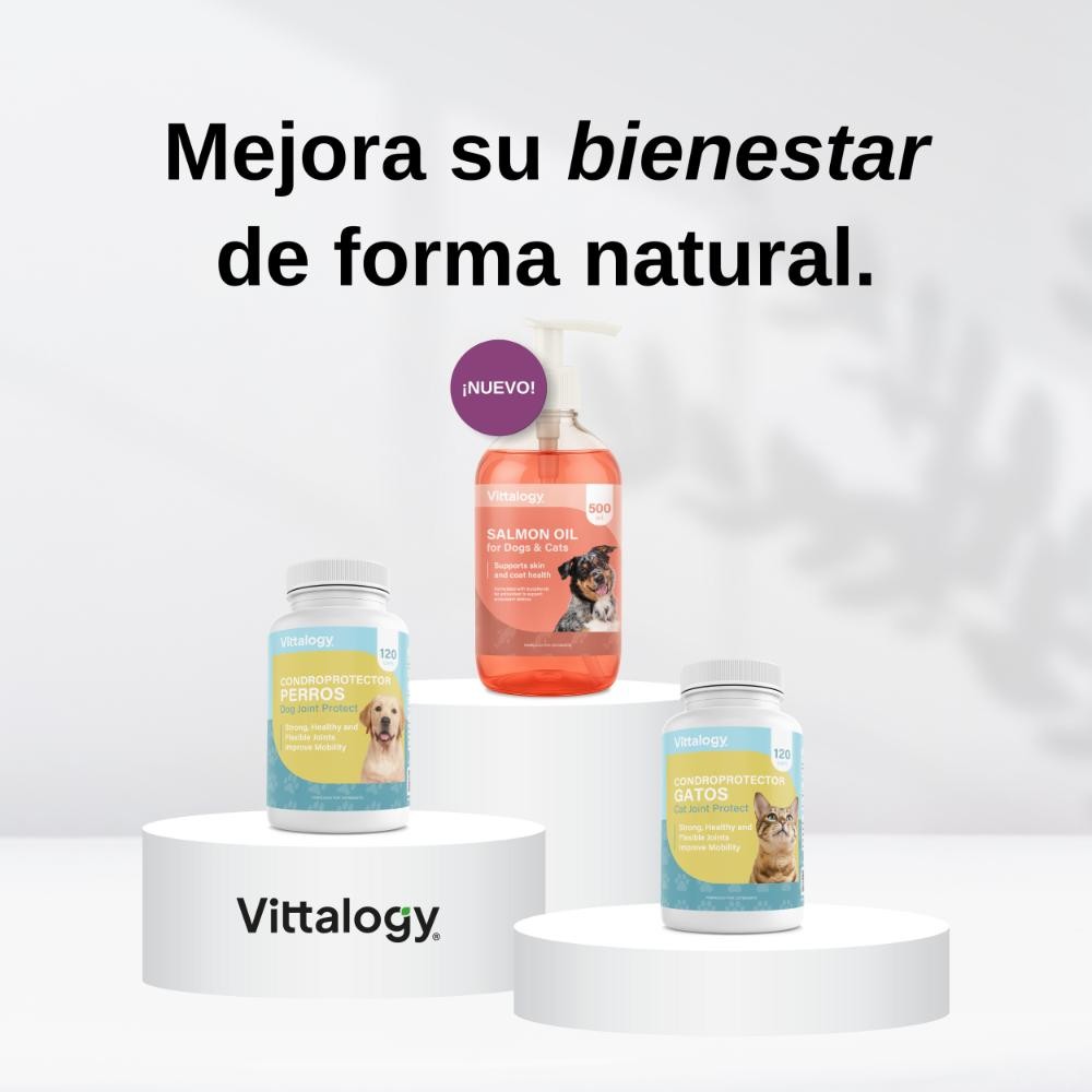 Vittalogy Aceite de Salmón para Perros y Gatos 500ml-8