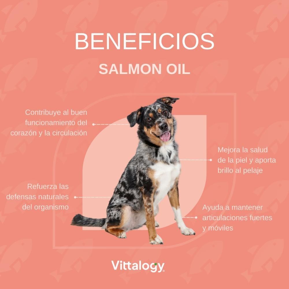 Vittalogy Aceite de Salmón para Perros y Gatos Triplo 3x500ml-5